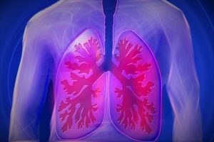 Ostéopathie ORL poumons